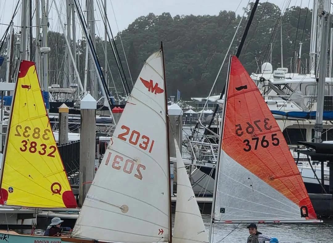 730487657 840631769128439 157073830330805836 n