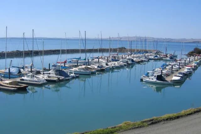 Our Marina